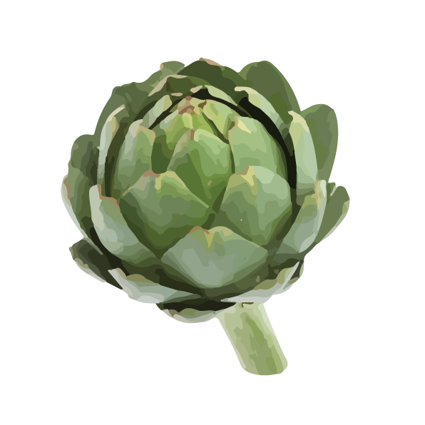 Plante de la famille des Astéracées qui porte une inflorescence à bractées piquantes se recouvrant les unes les autres et dont le réceptacle charnu est comestible.