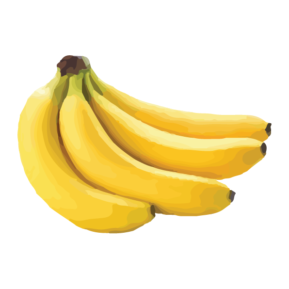 Bien qu’originaire de l’Asie, la culture de la banane s’est répandue jusqu’à l’Afrique de l’ouest.